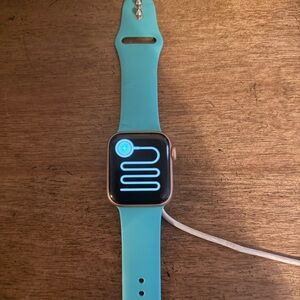 Apple Watch Series 5 40mm Rose Gold Aluminum With Blue Band
